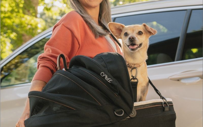 The English Garden has partnered with Tavo Pets to offer one lucky reader the chance to WIN the Tavo Pets Maeve™ 3-in-1 travel system worth over £770 buff.ly/3JOro07
