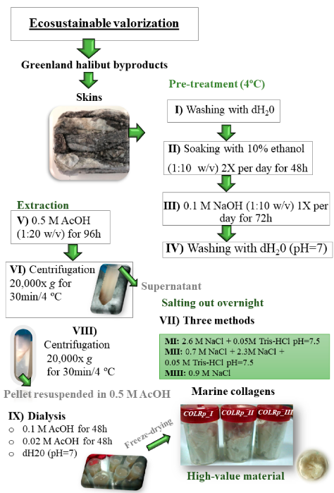 📢 Read our Highly Cited Papers 📚 Skin Byproducts of Reinhardtius hippoglossoides (Greenland Halibut) as Ecosustainable Source of Marine Collagen 🔗 mdpi.com/2076-3417/12/2… 👨‍🔬 Eva Martins et al. #openaccess