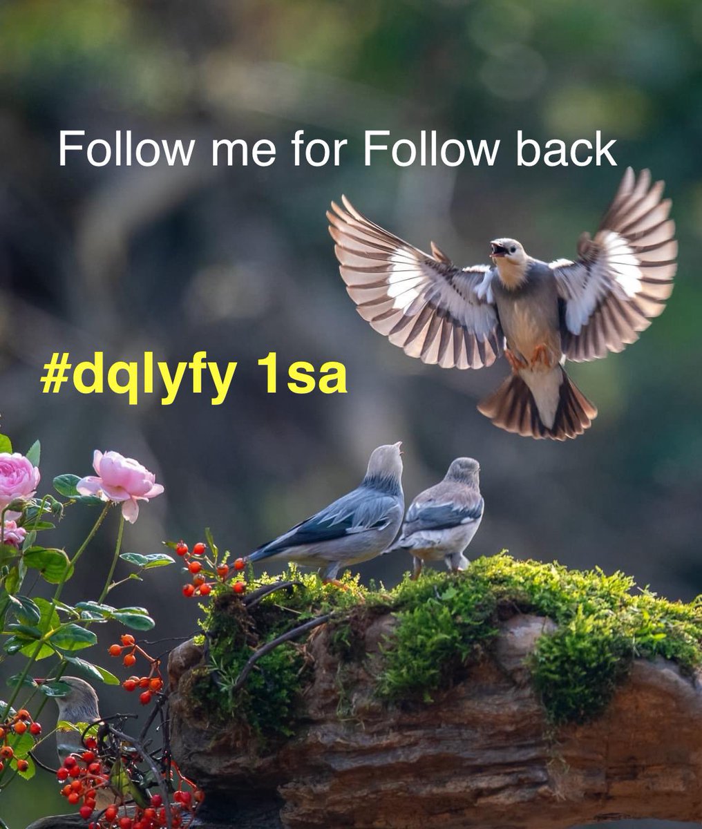 #dqlyfy1sa @qasm_y438 @luc_fam @k50h50 @g__zal2 @fii130 @poohglm @alshaws12 @mimih6mei @agghhghjgcj @4523165Q8g7 @chocom0chi @logan_JA19 @yagobabi @N1ke2_Tre @pachaca4 @papiko7890 @GuiverMiguel @Tomoko0333 @FunOnXx @MahdiAlqubli @kcef79 @tadayokun73 @IQBAL26483 @YolydeSandoval1