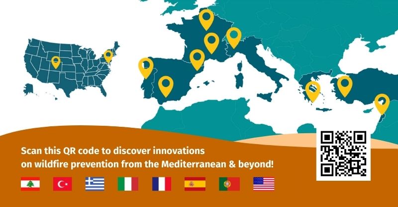 🧯🔥🌲 This week we started our #EFIWildfirePrevention campaign on #WildfirePrevention! Check this publication to explore 11 #innovations for #WildfireRisk planning and prevention from 9 countries in the #Mediterranean & beyond 🇱🇧 🇹🇷🇬🇷🇮🇹🇫🇷🇪🇸🇵🇹🇺🇸 👉 doi.org/10.36333/rs8en