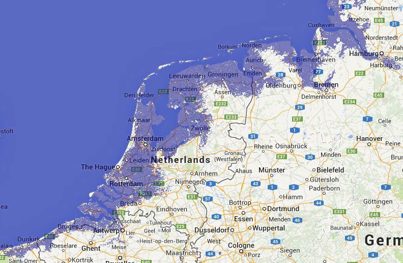 Il Cristante del Bosco tweet media