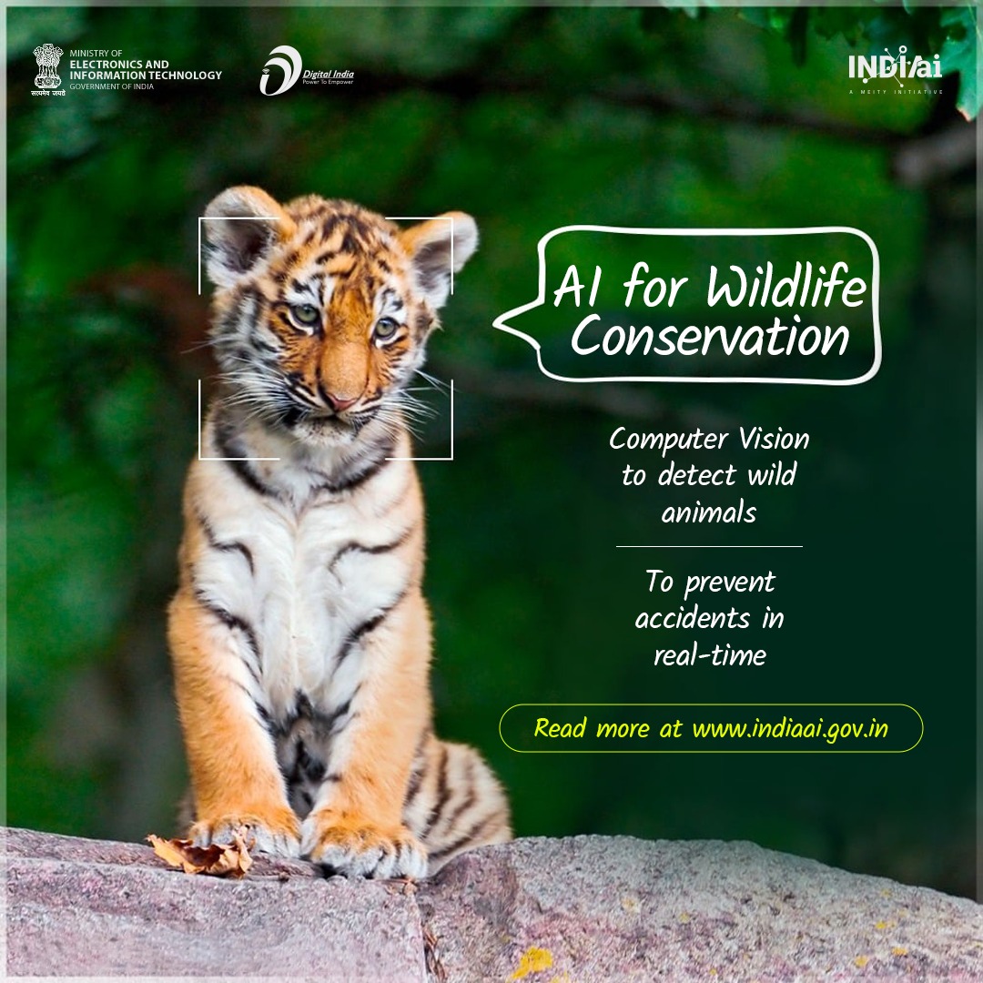 Researchers are using #computervision to detect wild animals and potentially prevent accidents in real-time. The solution holds promise for safer roads and protected ecosystems. Read more: indiaai.gov.in/article/saving… #WildlifeConservation #DigitalIndia @OfficialINDIAai