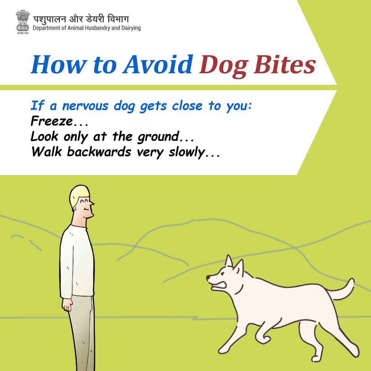 Stay still, eyes down, and slowly step back to avoid dog bites. #DogSafety #avoiddogbites #PreventRabies #VaccinateNow