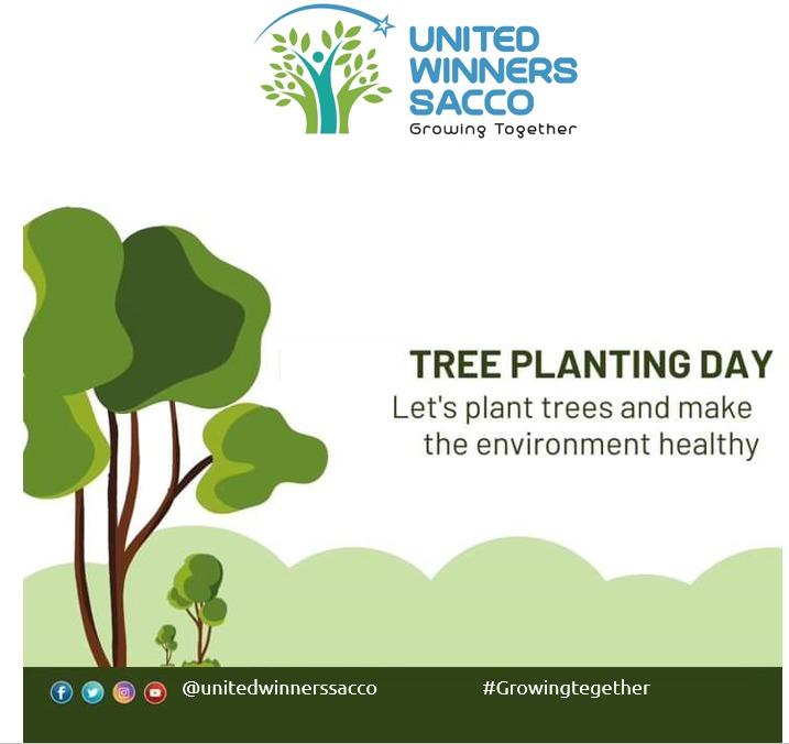Today, as we remember lives lost to floods, let's unite in a powerful act of hope: planting trees. Together, we sow the seeds of resilience, growth, and a brighter tomorrow. Let's nurture our country, let's grow together. 🌱🌍 

#GrowingTogether 
#ClimateResilience