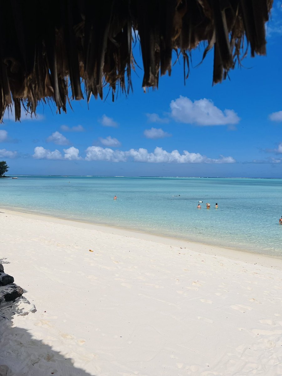 Un peu de soleil et de douceur, from Bora Bora, Polynésie ☀️