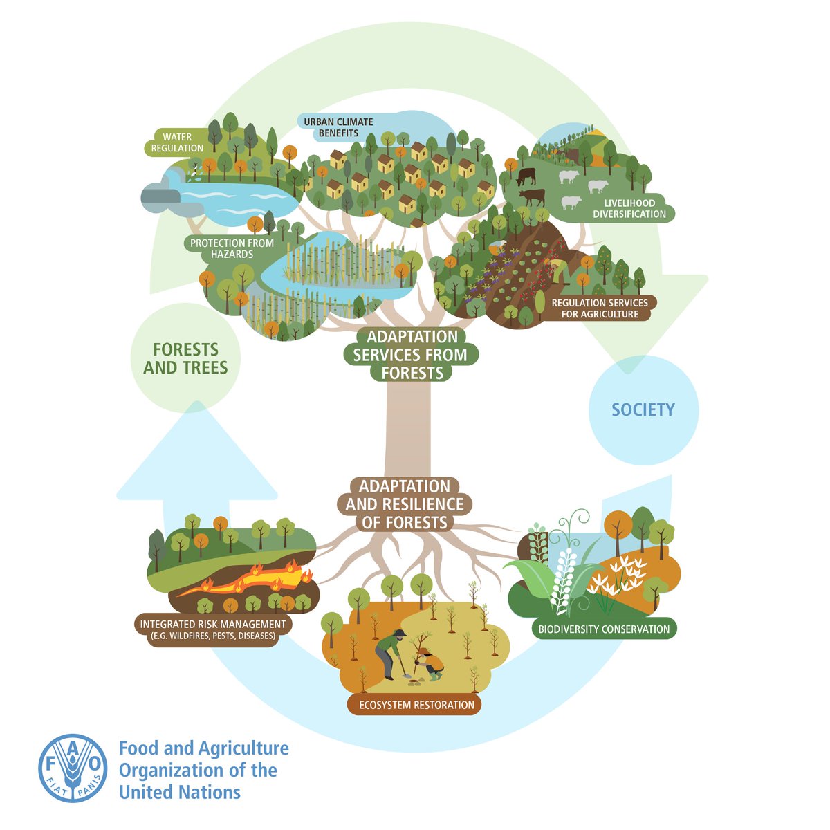 Forests are crucial in helping us adapt to #ClimateChange. 

They: 

💧help ensure water availability
🌊 protect against landslides and floods
🏜️ prevent desertification
🧑‍🤝‍🧑 provide alternative livelihoods for people