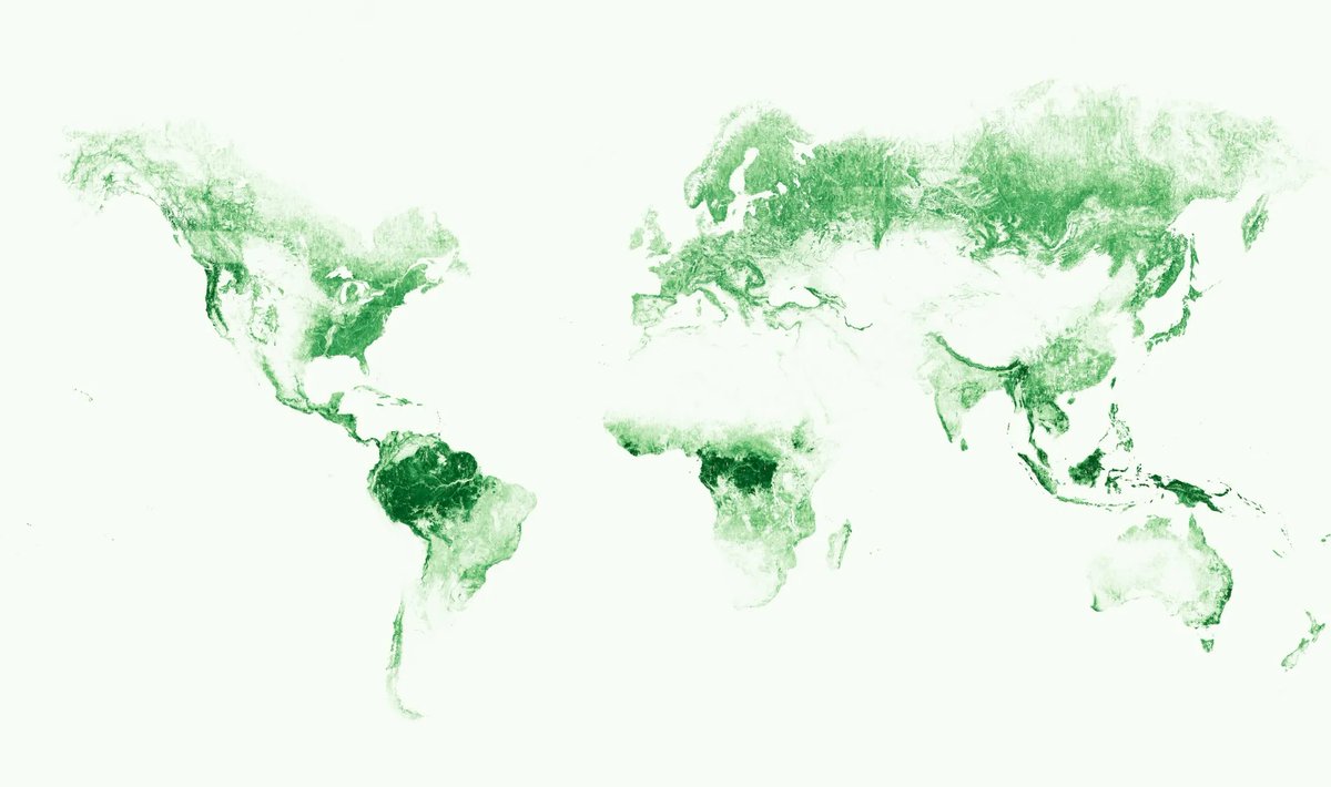 How is Artificial Intelligence helping map the world’s forests? 🌲 @Meta and @WorldResources are launching a global map of tree canopy height at a 1-meter resolution, allowing the detection of single trees at a global scale. 🔗 Find out more: sustainability.fb.com/blog/2024/04/2…