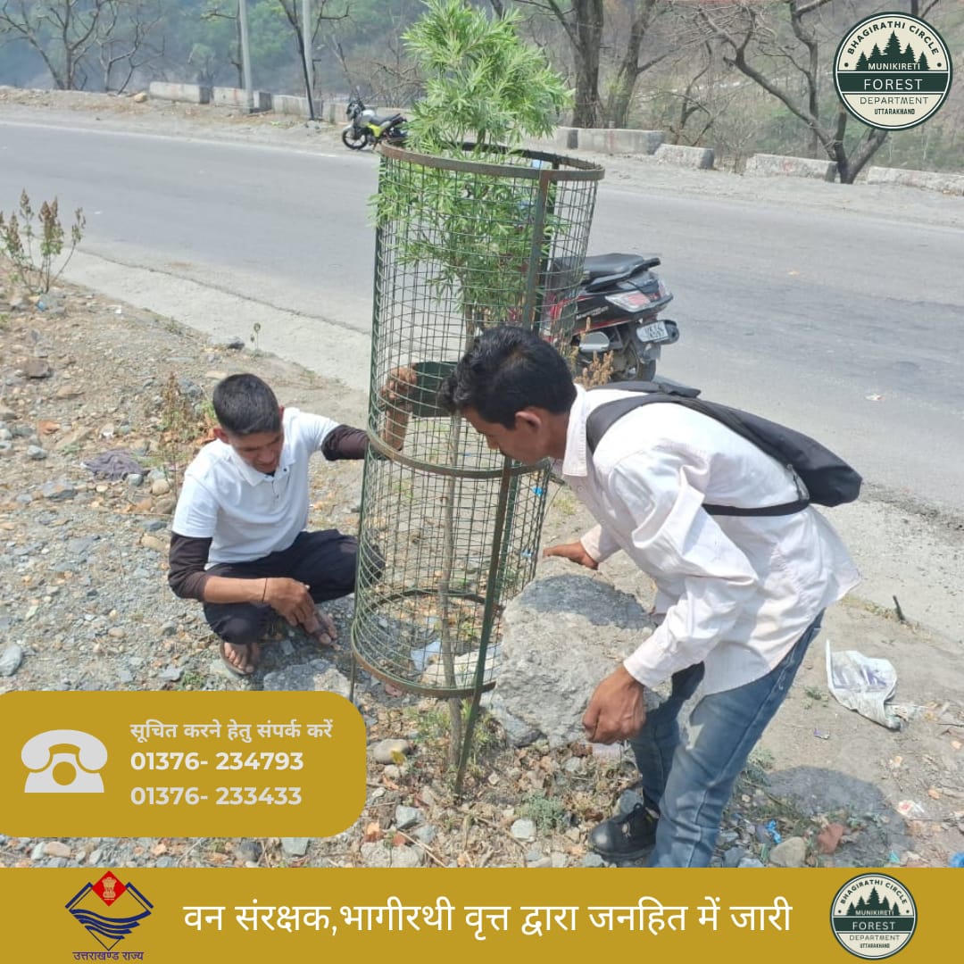 Bhagirathicircl's tweet photo. कोड़ियाला वीट प्रथम के अंतर्गत NH-58 चारधाम यात्रा मार्ग पर ज्वलनशील पदार्थ को हटाकर साफ सफाई कार्य कोड़ियाला वीट माणिकनाथ रेंज देवप्रयाग
#ForestFires #WildlifeConservation #NatureProtection #StopForestFires #PreventWildfires #ForestFireAwareness #FireSafety https://t.co/dK5s4vBWDi