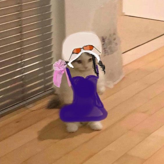 ⠀

            my  single  ass  .

            ⠀