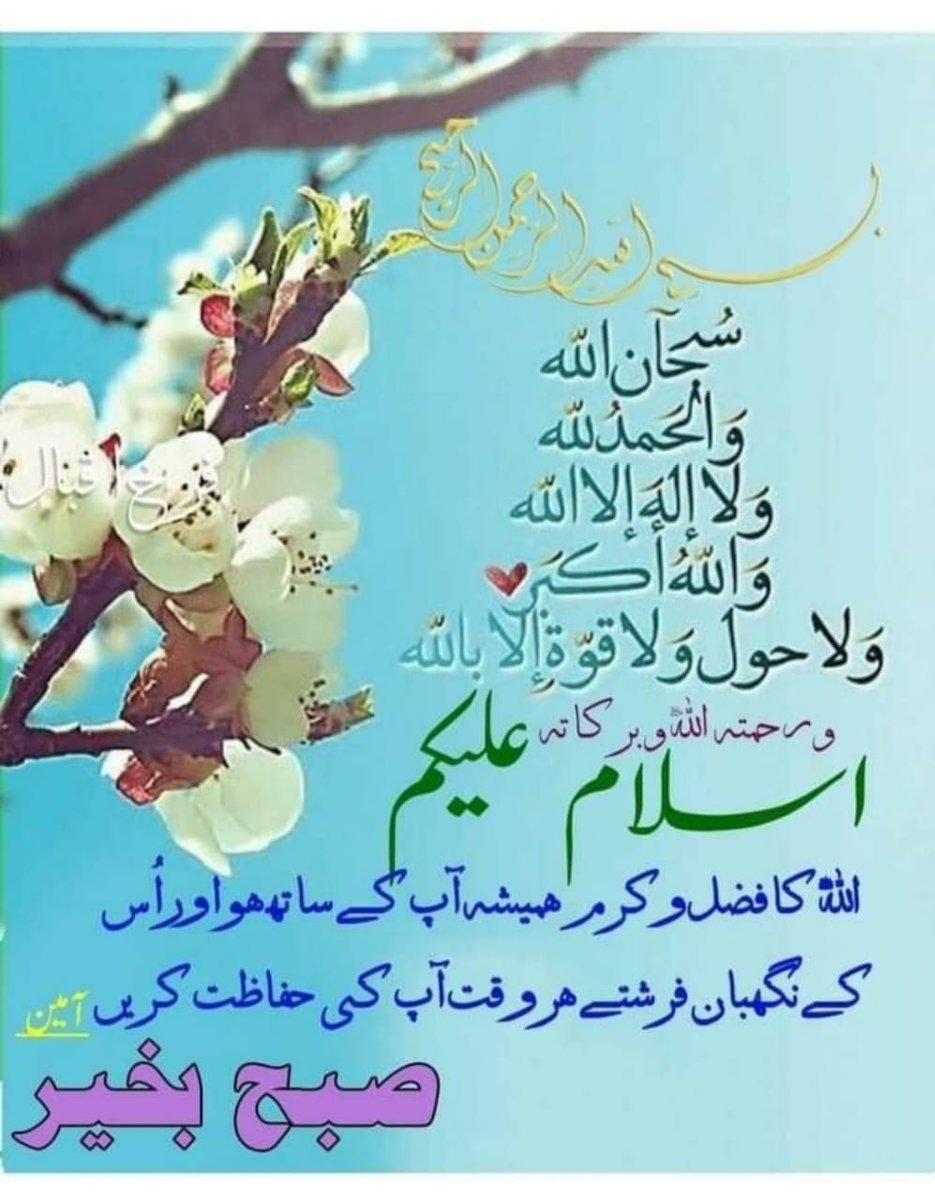 Assalam O Alaikum friends 😍
Good Morning friends 😍
Jumma Mubark friends 😍
Have a great day 😍
Recite darood pak 😍
#X_promo
#FreePalestine
