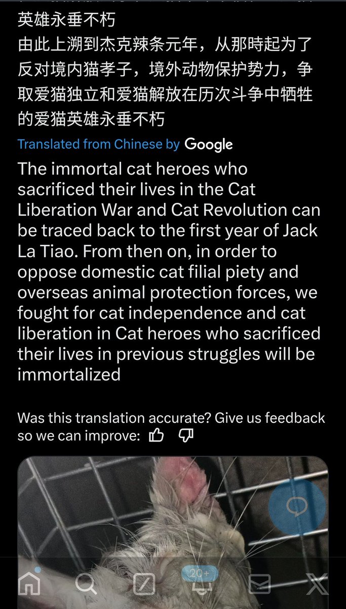 PhaedraXTeddy's tweet image. 🆘️ Please Block and report  #CatAbuserChina 🇨🇳#China #TrollBot
@ solarauxil141 🆘️ Repost Please.