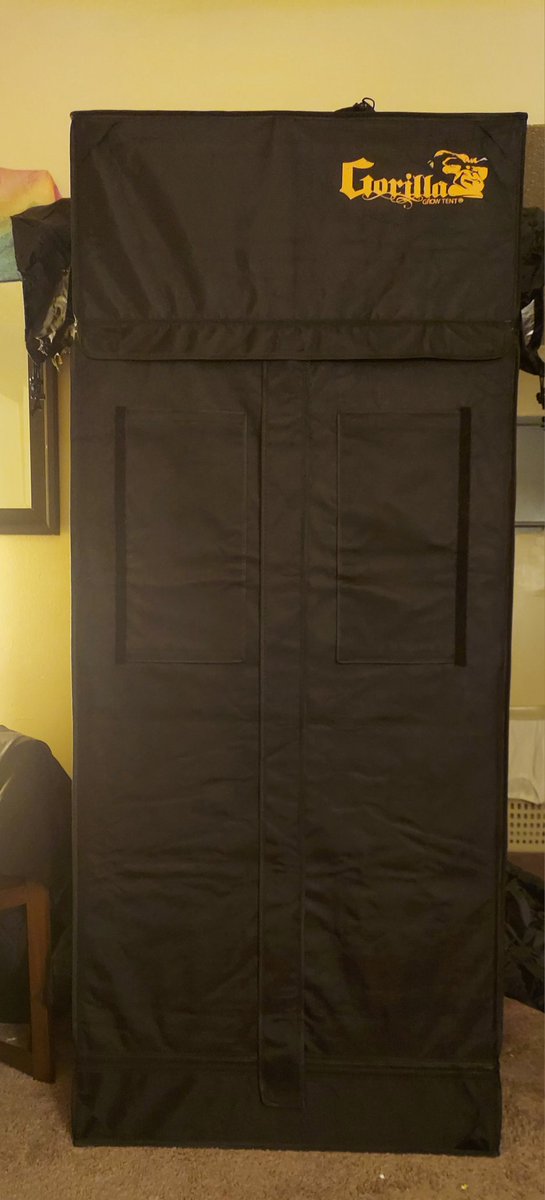 I finally set up the 2x2.5 tent from @GorillaGrowTent