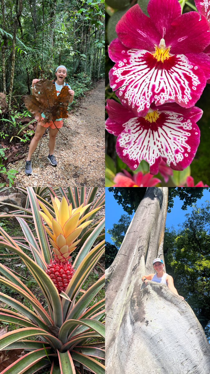 Amazing first <a href="/ISMRM/">ISMRM</a> in Singapore! Privileged to share our 4D flow MRI work and learn about exciting #MRI advancements 

Now onto my Honeymoon 🏝️💚