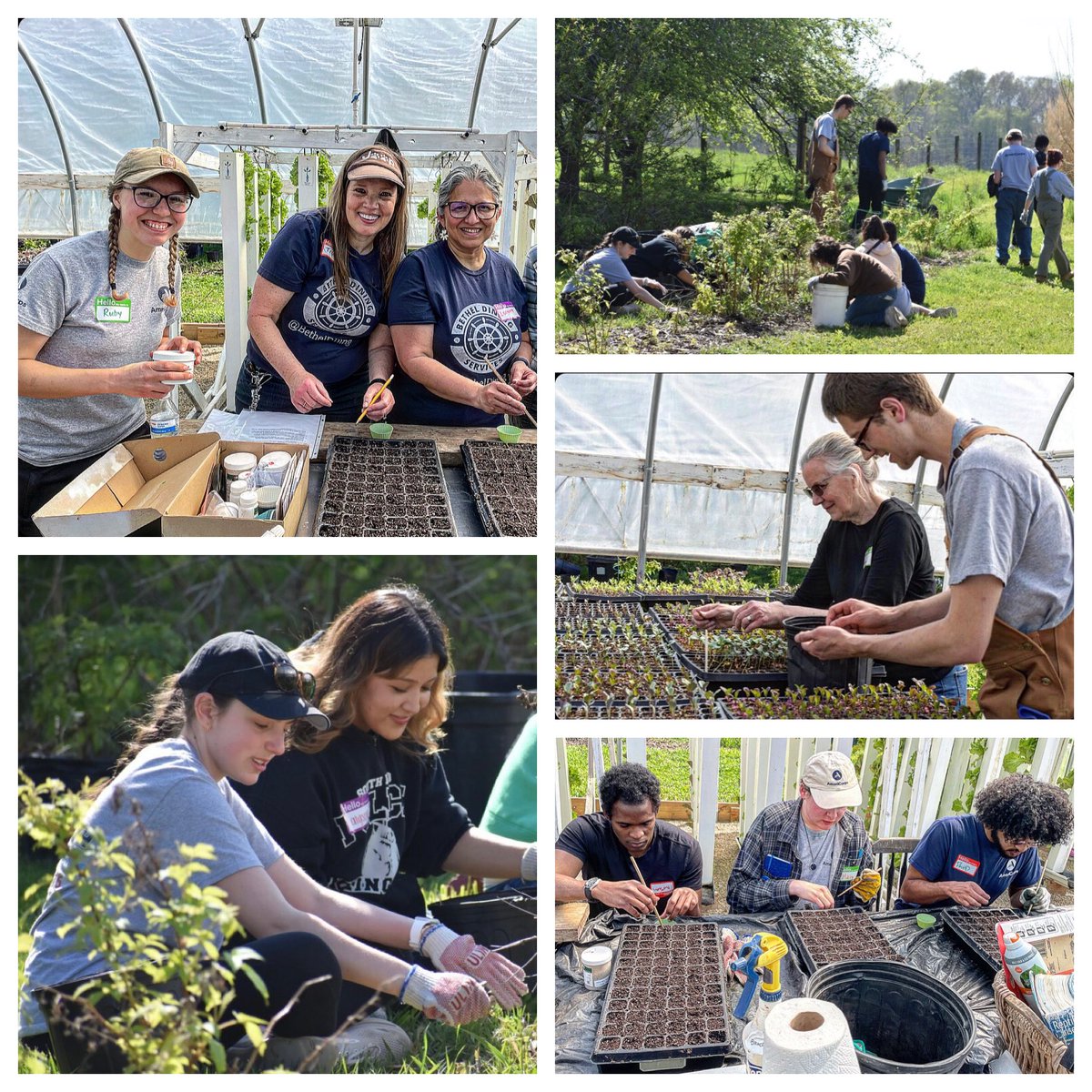 Terrific Global Youth Service Day <a href="/GreenBridgeGrow/">Green Bridge Growers</a>! In partnership with <a href="/YouthService/">YSA</a> and <a href="/sodexoUSA/">Sodexo USA, Inc.</a>, our team engaged community youth in projects that helped increase food access. Excited to continue this work and keep making a difference for our community! #foodsecurity