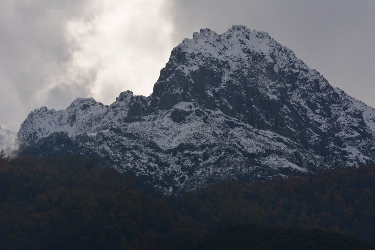 Feliz luego de que la lluvia bañara el bosque nativo y la nieve colmará de blanco las cumbres del Santuario de la Naturaleza Cerro Poqui 
#cerropoqui