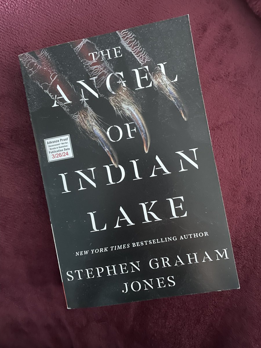 18). “The Angel of Indian Lake”. I don’t read that much horror like this usually but @SGJ72’s Jade Daniels trilogy has been a worthwhile exception. #100booksin2024
