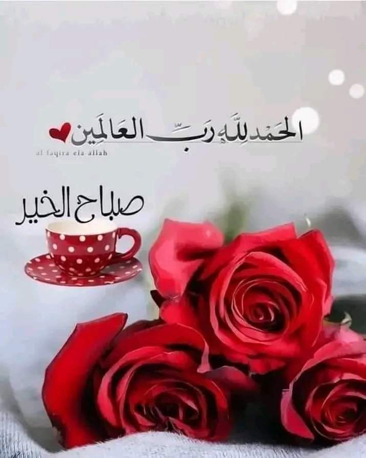 ❤السلام علیکم ورحمتہ اللہ وبرکاتہ❤
............💞 صبح بخیر زندگی💞 

جب انسان کا یقین اس بات پر کامل ہو جاتا ہے
کہ" اللّٰه بہترین عطا کرنے والا ہے.. 

تواس کے دل سے تمام خدشات مٹ جاتے ہیں
اور وہاں صرف سکون رہ جاتا ہے..

اللہ تعالیٰ ہمیں ابھی رضا پر راضی کرے اور
سکونِ قلب عطا