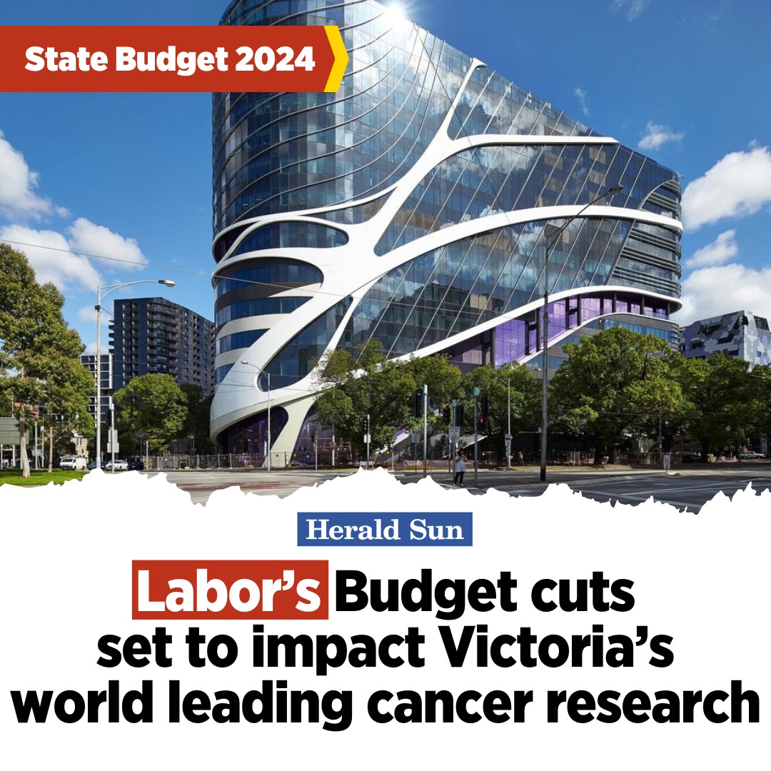 Kim Wells tweet media