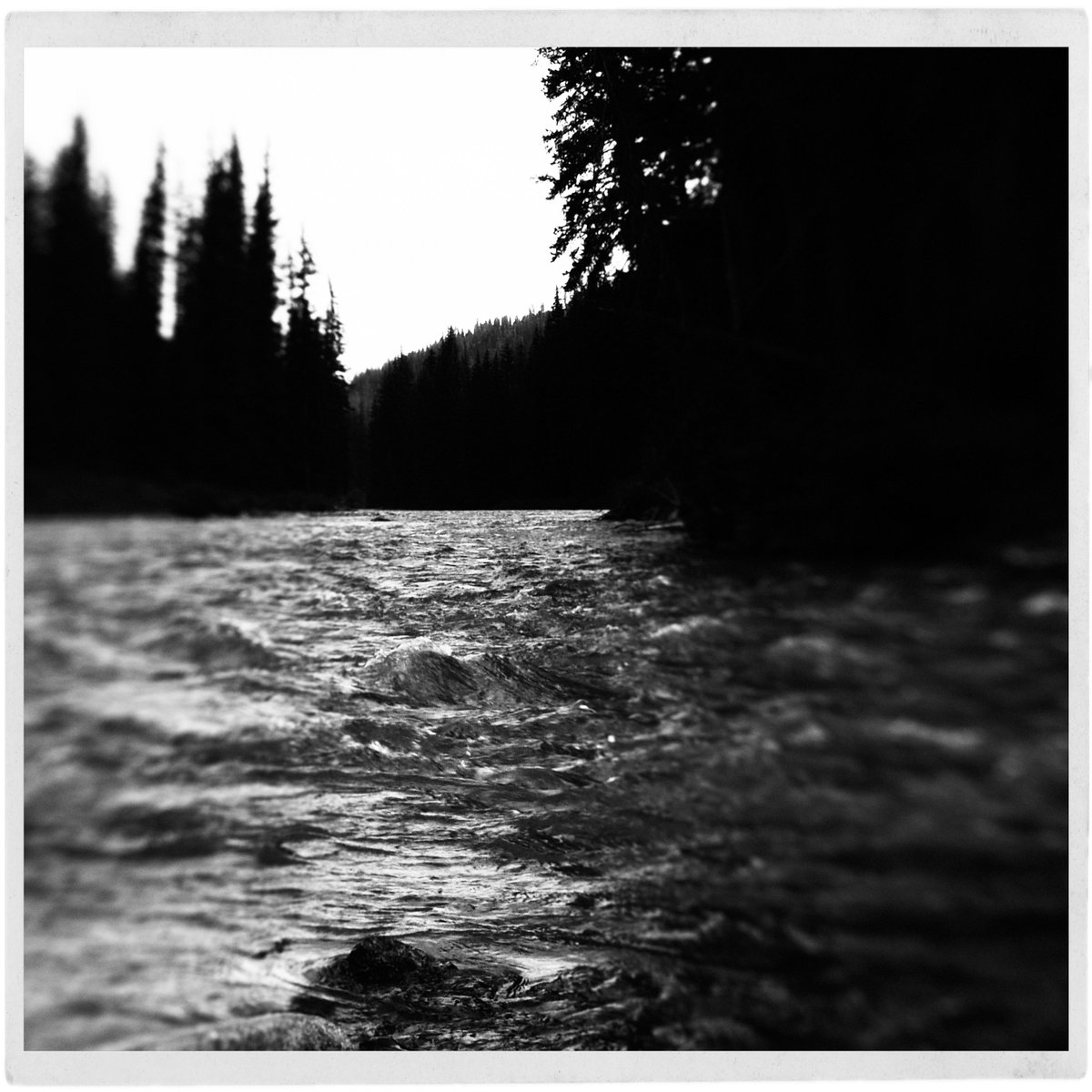 Stress equals creativity
Title: Wyoming Blur Stream
Status: Private Sale Pending
#photograghy #bwphotography