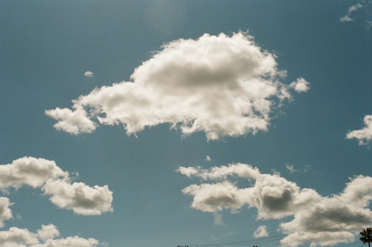 Chris Bartolucci tweet media