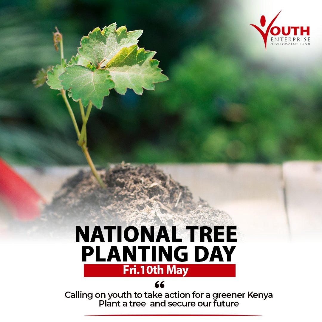 Plant a tree today and be part of the solution to climate change #NationalTreePlantingDay #TreePlanting #ForestCover #ClimateChange  #JazaMiti #15BillionTrees