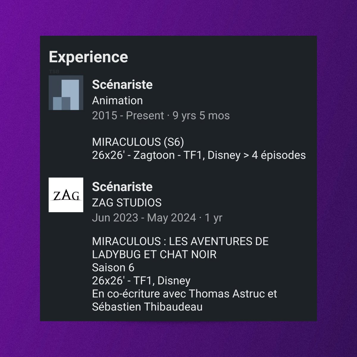 Manuel Meyre (new scriptwriter of ‘Miraculous’) wrote four episodes for Season 6, LinkedIn reveals. — His involvement began in June 2023 and culminated on May 2024.