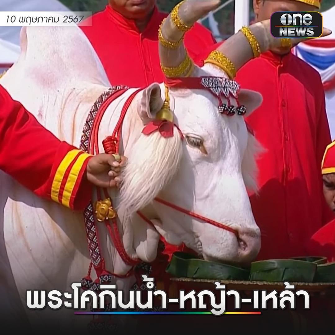 Herzog & IดO เมาแล้ว tweet media