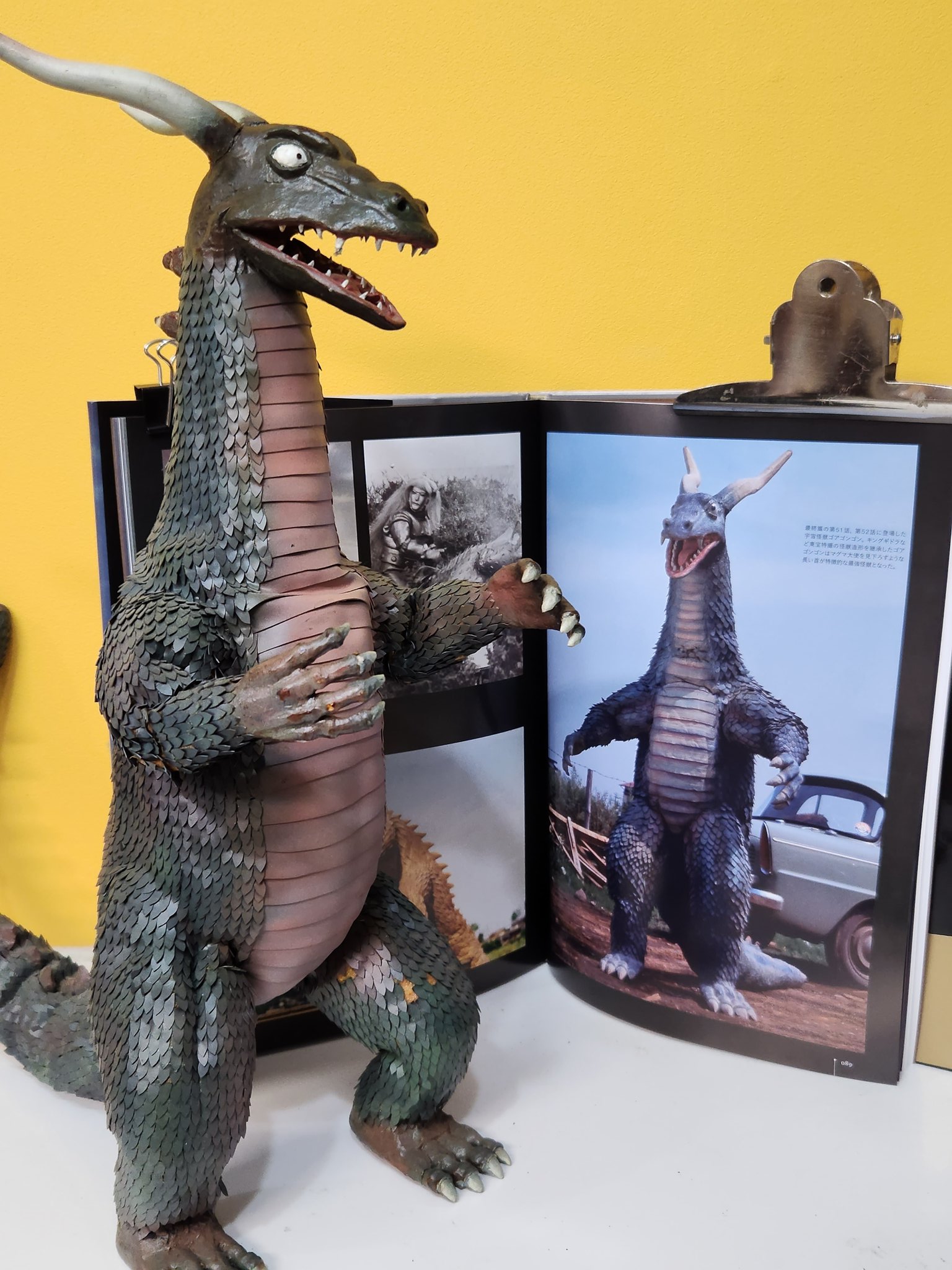 マーミットゴアゴンゴン