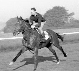 HORSERACING1002's tweet photo. NIJINSKY II ๐จ๐ฆ1967
(NORTHERN DANCER FLAMING PAGE BY BULL PAGE)
#NijinskyII
B/E. P. Taylor(On)๐จ๐ฆFeb 21, 1967
O/ Charles Engelhard
T/ Vincent O'Brien
CANYER $84,000
PRISYN $5,440,000๐บ๐ธ
13-11-2-0--$667,117
1969 champion ๐ 2yo Colt in ๐ฎ๐ช๐ฌ๐ง.
1970 champion ๐ 3yo Colt, https://t.co/9aXDBjFACQ