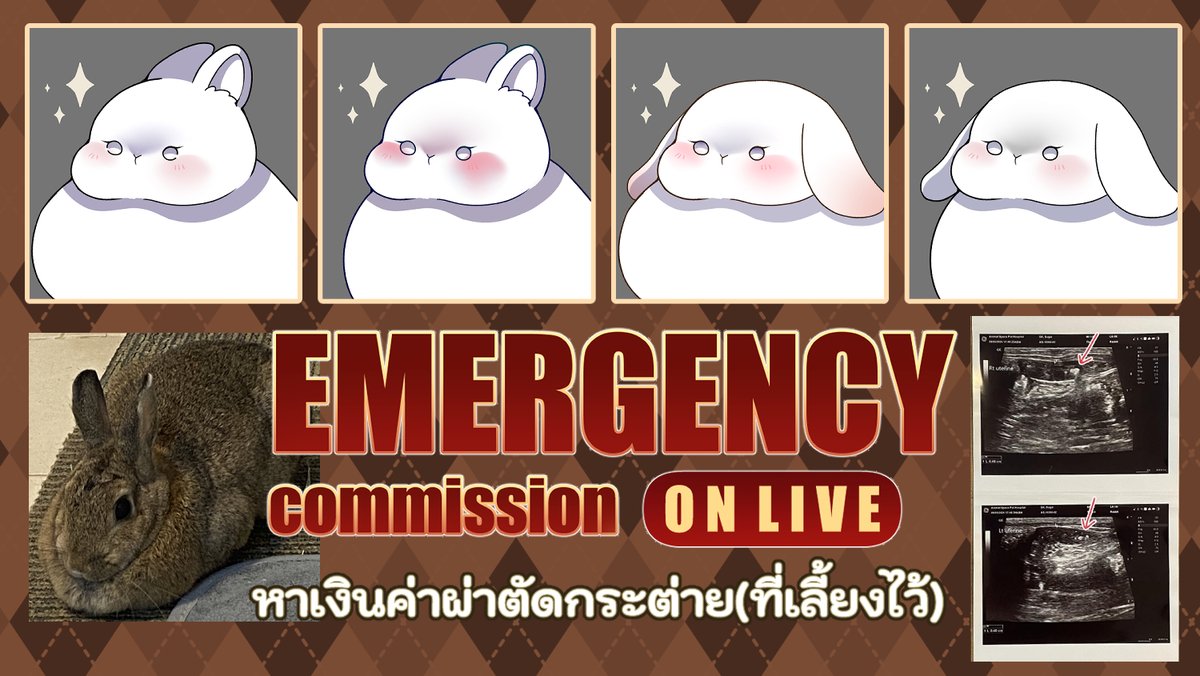 MRiddletales's tweet photo. EMERGENCY MARATHON LIVE 
>> Your character to Bunny << 
ตามโดเนทในราคาเริ่มต้น350บาท !!! 
รายละเอียดในเธรดค่ะ 

13:00 เป็นต้นไป :: https://t.co/AsVAfHT5XB 

#Mriddles #VTuberTH #VtuberUprisings #วีทูปเบอร์ไทย https://t.co/EwB3DHcQEC