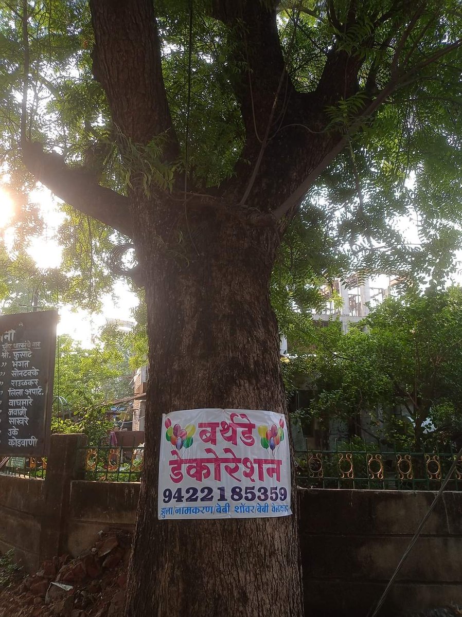 जाहिरात वाल्यांनी शहरातील मोठी झाडे सुद्धा सोडली नाहीत. #Nagpur