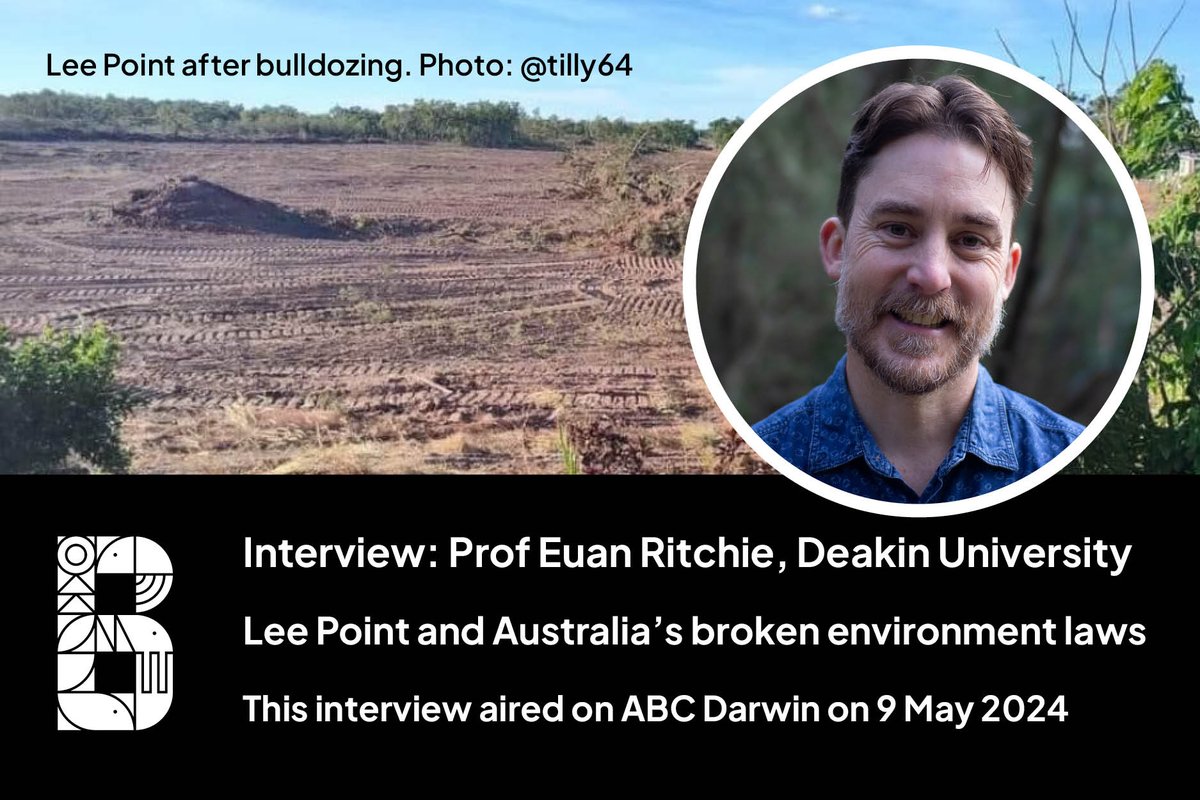 The clearing of Lee Point for an @ausgov project highlights the failure of Australia's environmental laws and a lack of government strategy to guide development. Listen to @EuanRitchie1 talk to @abcnews @abcdarwin about the issue. youtu.be/HvndfZZadmM