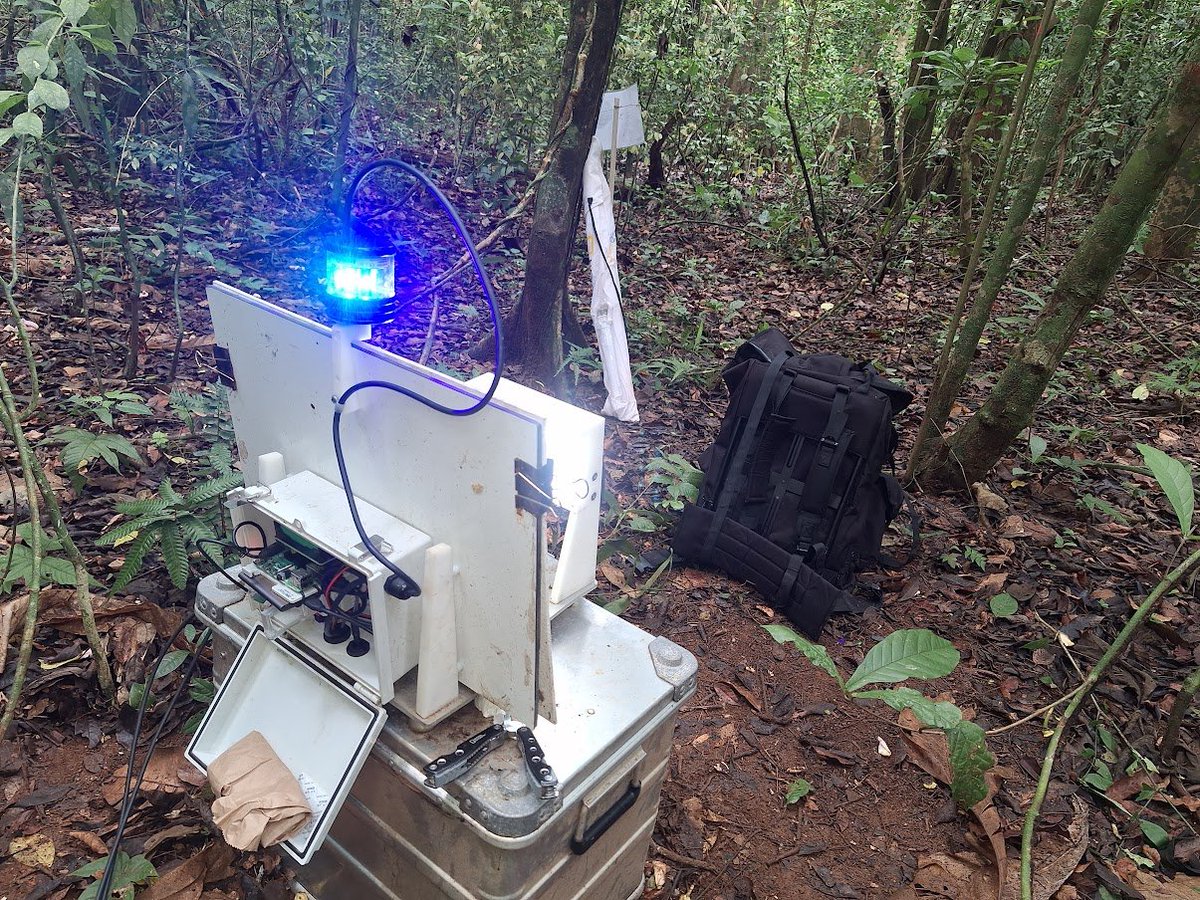 successfully installing the third AMI System of the @UK_CEH on the 50ha plot on BCI at @stri_panama . The plan is to compare the 10 traditional insect monitoring locations with 10 AMI Systems! Explore activity patterns, the transition to non-lethal monitoring and more!!