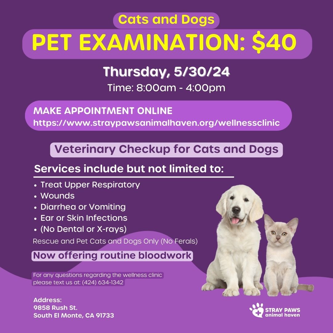 Is your furry friend feeling under the weather? 📷 Our Wellness Clinic on May 30th is here to help! Please bring in your beloved pets for an examination by our experienced veterinarian. 

straypawsanimalhaven.org/wellnessclinic

#WellnessClinic #PetHealth #VeterinaryCare #PetWellness #DogHealth