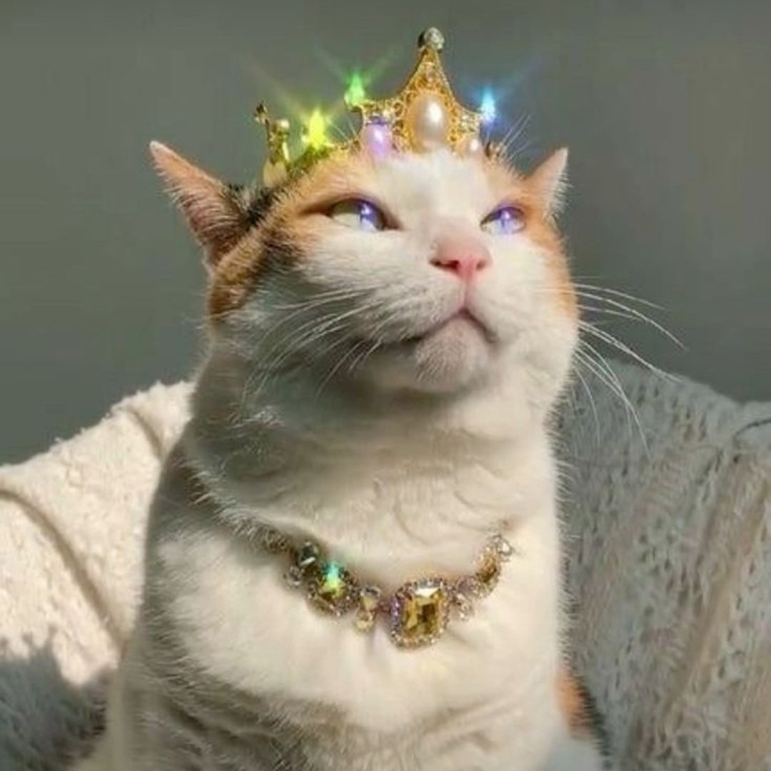 _sadiecat's tweet photo. how does pinterest see you?

character 
tattoo 
doll
animal https://t.co/EaghM9MACp