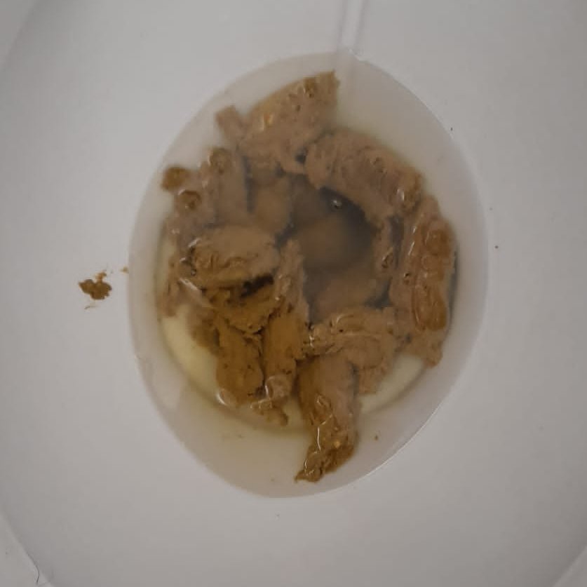 Hello my loves, I just clogged my toilet, anyone who wants to eat all my shit?💩📷 #eproctophillia #eprocthophilia #girlfart #fartingirls #farting #scatgirls #girlsfart #GirlPoop #gassyass #fartface #scatqueen #assfarting #milf #latina #fart