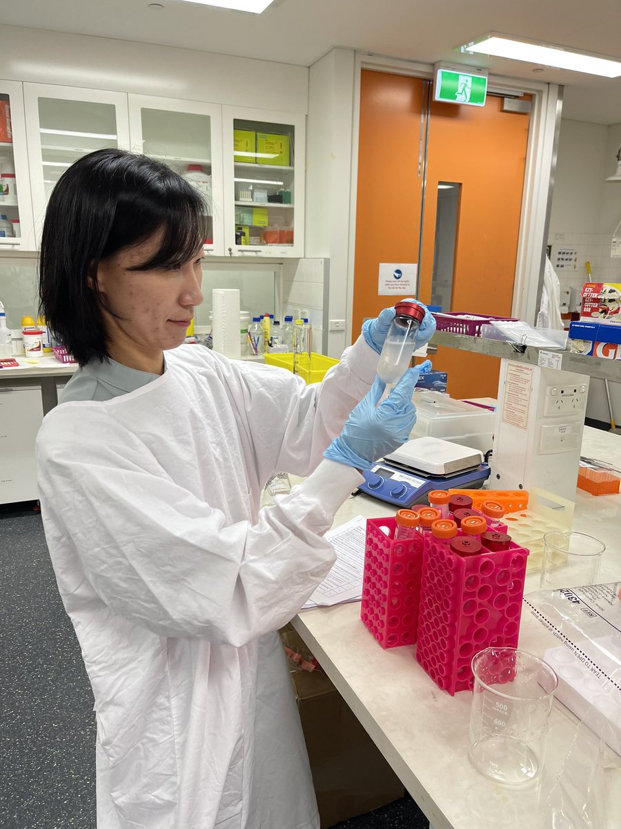 Introducing our next member 🥁

Jiyoung! Jiyoung is another research assistant in our growing team ! 
She comes from a molecular biology 🧬 background and aswell keeps our lab squeaky clean 🧼

#usyd #bioengineering #Biology