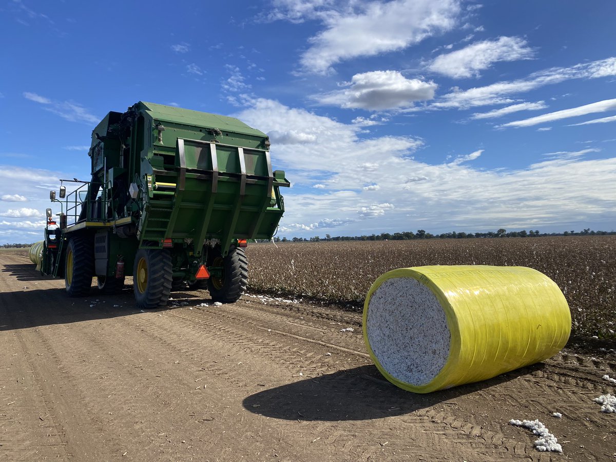 Matt Norrie tweet media