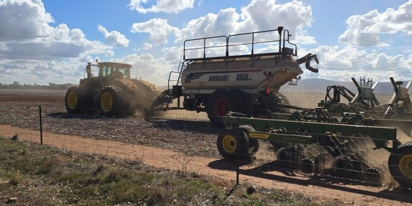 Wheat, barley and sorghum prices are little changed from last week, with volume surging in the south as traders sell warehoused stock, in contrast to the thinly traded north

👉 loom.ly/oJ_HBDs