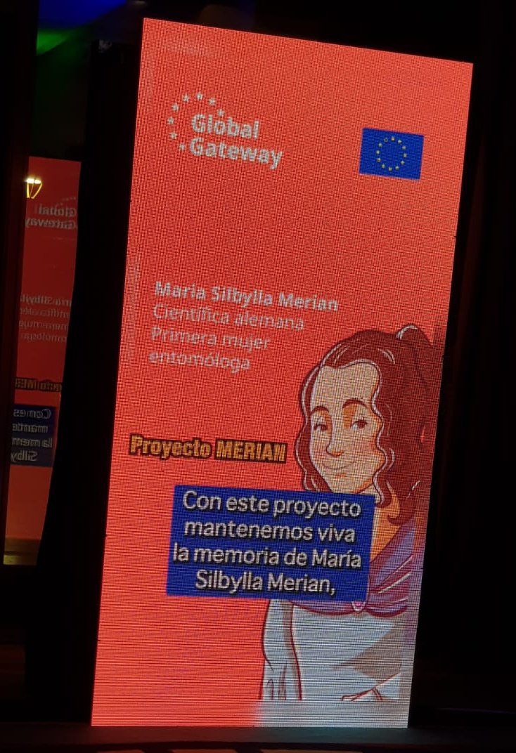 A través de #GlobalGateway impulsamos en 🇸🇻 el Proyecto #MERIAN, llamado así en honor a la 1ra entomóloga y científica, Maria Sibylla Merian, para el cual aportamos más de EUR 5 millones, gestionados por @FAOElSalvador, @ITU, @CENTAELSALVADOR y @ENA_ElSalvador 🧵 #DíaDeEuropa