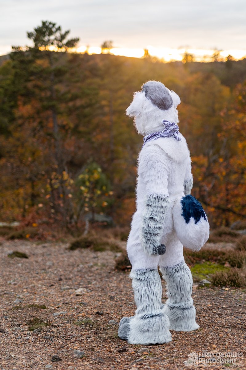 Come on, come on, don't leave me like this I thought I had you figured out Can't breathe whenever you're gone Can't turn back now, I'm haunted 📸: @FurCPhoto #furry #fursuit #fursuiter #furryfandom #FursuitFriday