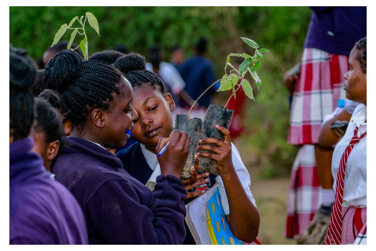 As the nation takes a break to plant trees, @africa_tareto still stands in the gap between climate action and #SRHR. We empower girls to mitigate climate change through our project #trees for Girls so as to reduce the impacts of its effects on young pastrolist girls. #Endfgm