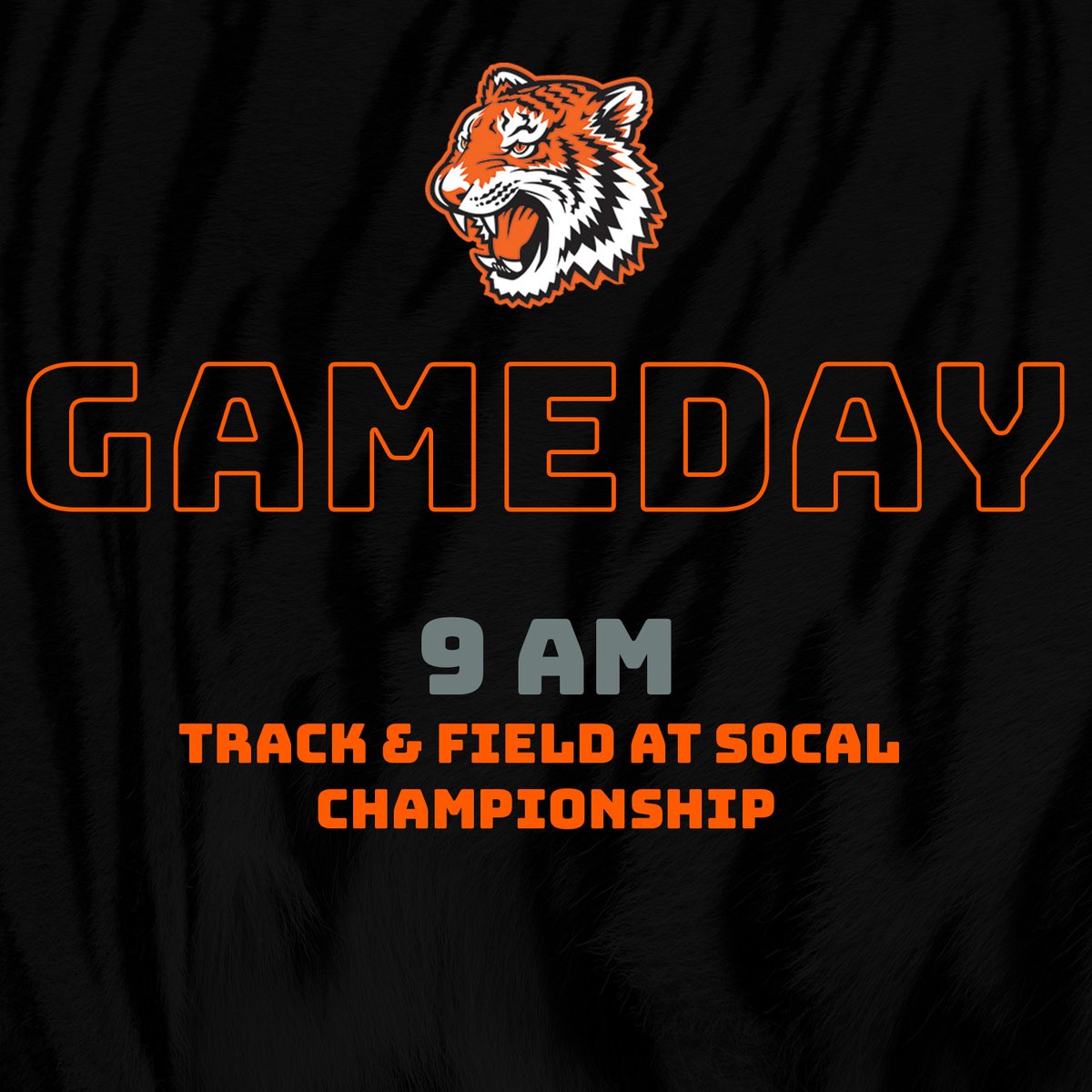 Track and Field looks to grab some hardware and qualify for next week's State Championship at the SoCal Championship today! 🐯 #TheCommunitysCollege