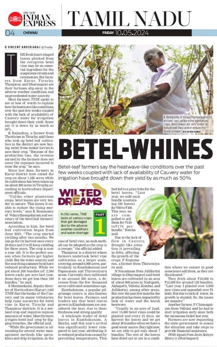 As #TamilNadu swings between a menacing heat wave & occasional summer rains, #TNIE looks at various crops that faced the brunt of adverse weather conditions & water shortage #WiltedDreams ⁦@NewIndianXpress⁩ ⁦@xpresstn⁩ ⁦@Vincents_TNIE⁩ newindianexpress.com/states/tamil-n…