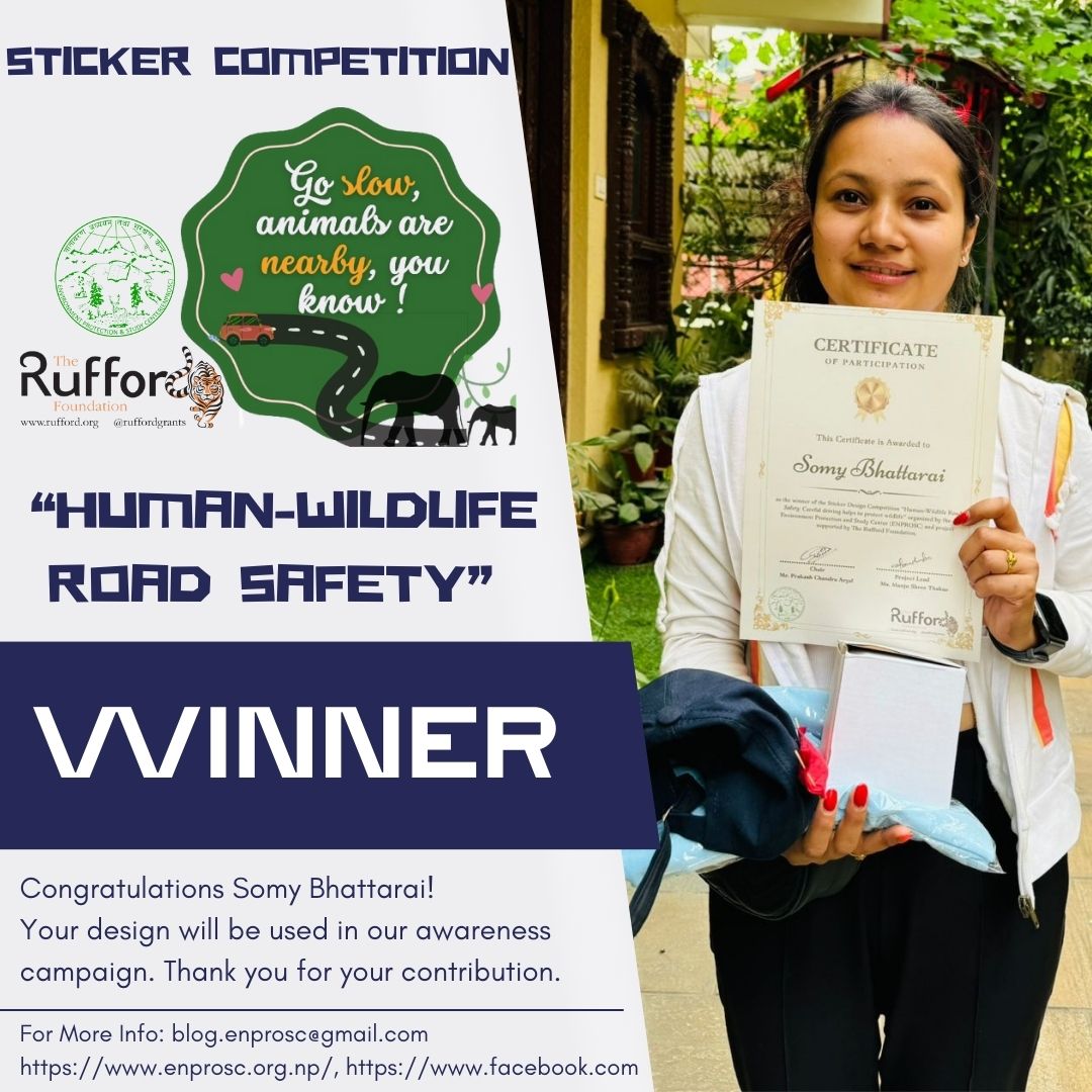 We are happy to announce Ms. Somy Bhattarai (CDES,TU) as the winner of our 'Human-Wildlife Road Safety' sticker design competition. We are honored to feature it in our road safety awareness campaign. #roadsafetyawareness #wildliferoadkillmatters #theruffordfoundation #enprosc