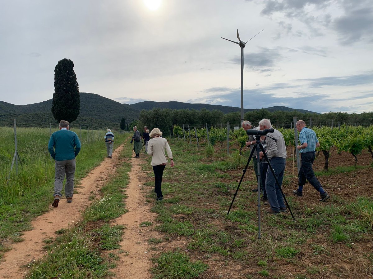 Photos from my immensely talented colleague, @Giacomo_Sighele on @naturetrektours Go Slow in Tuscany tour. The extra third week was fully booked - as were the previous two - and I expect the same to happen next year.