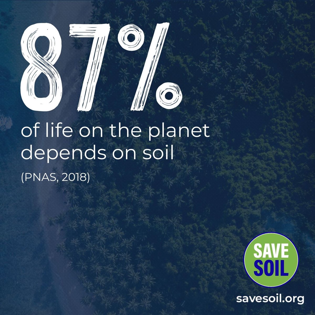 #SaveSoil #savesoilwave #SaveSoilSaveLife #savesoilmovement @SadhguruJV @cpsavesoil #WorldUnitesForSoil  #COP28  #COP28UAE
