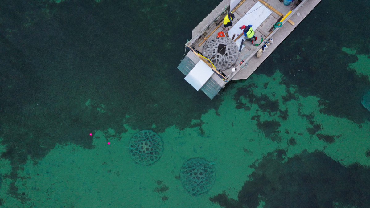 Flinders University marine ecologists have developed a new snorkel trail on Kangaroo Island to add to important reef restoration work around Australia. It is one of 12 projects under the government-funded Passport to Recovery program. Find out more here 👉 bit.ly/3ZhuYGo