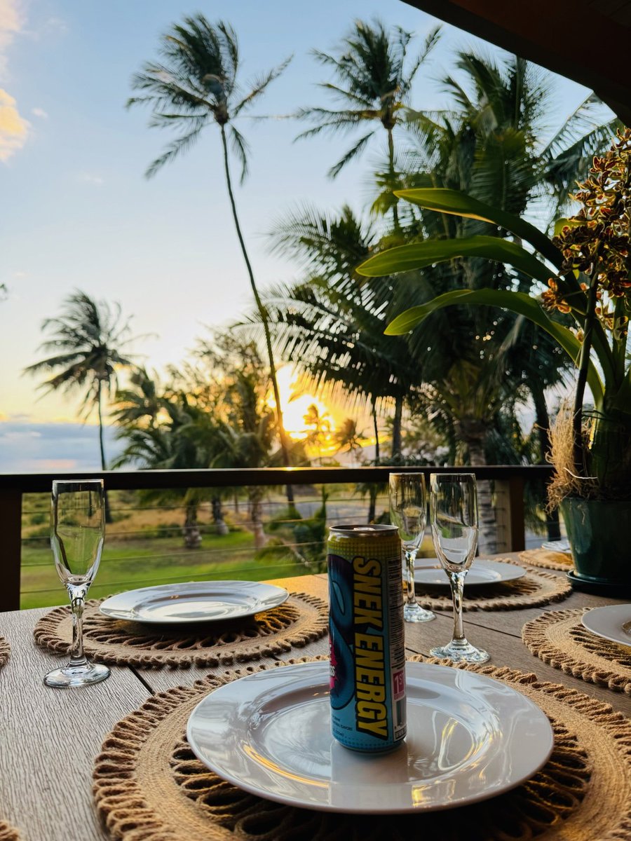 AlpineOracle's tweet image. One thing about meme coins is that when they pop off, they can indirectly help fund projects in the ecosystem. Like the recent trip @adagotchi had to Hawaii for a project sprint with local farmers. 
@snek, you are awesome.