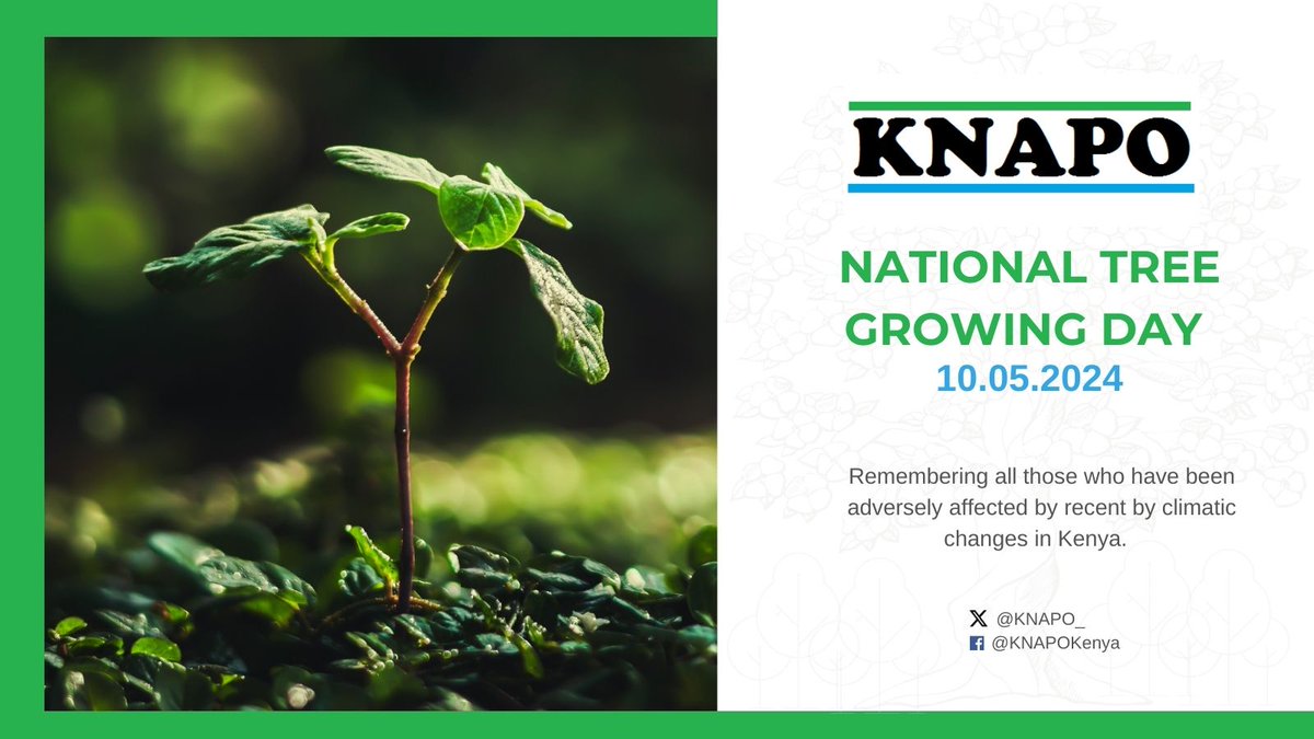 National Tree Growing Day!
Remembering all those who have been adversely affected by recent by climatic changes in Kenya.